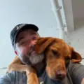 Atlas Paws Spadina in Toronto