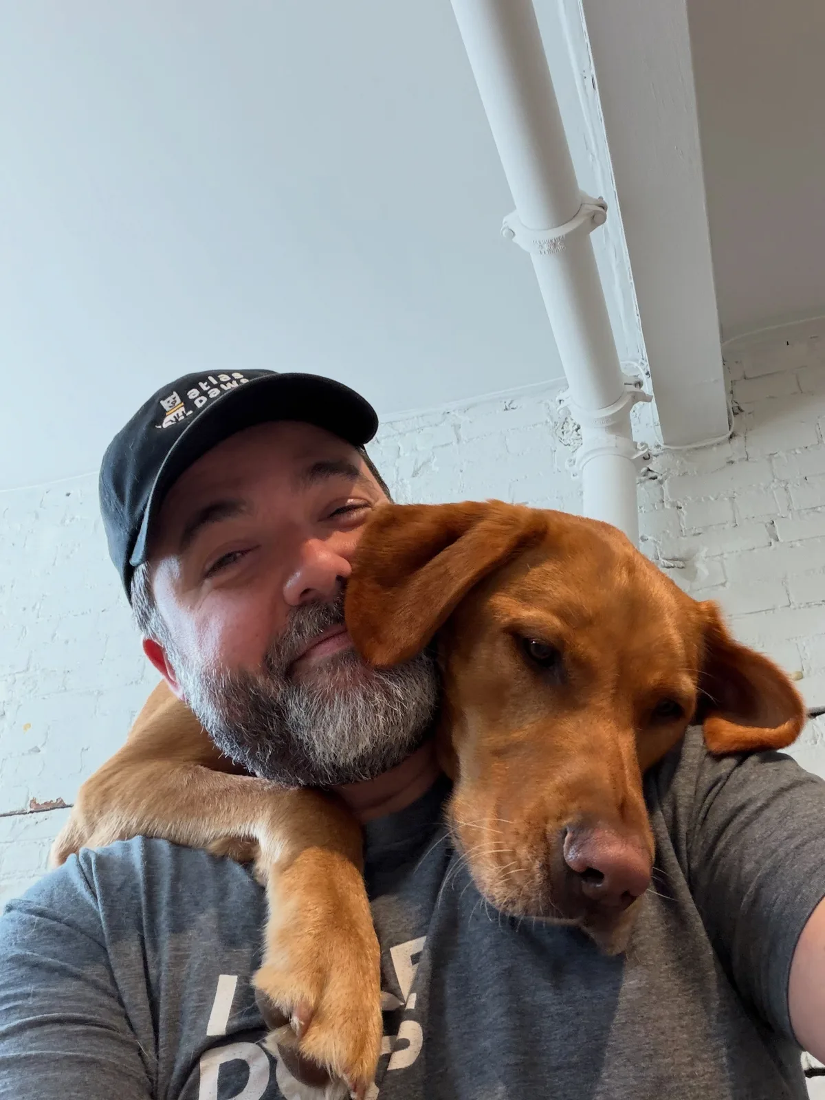 Atlas Paws Spadina in Toronto