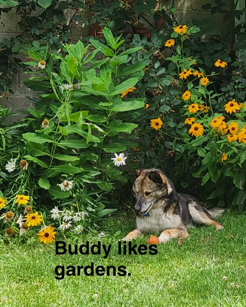 Etobicoke Humane Society in Toronto