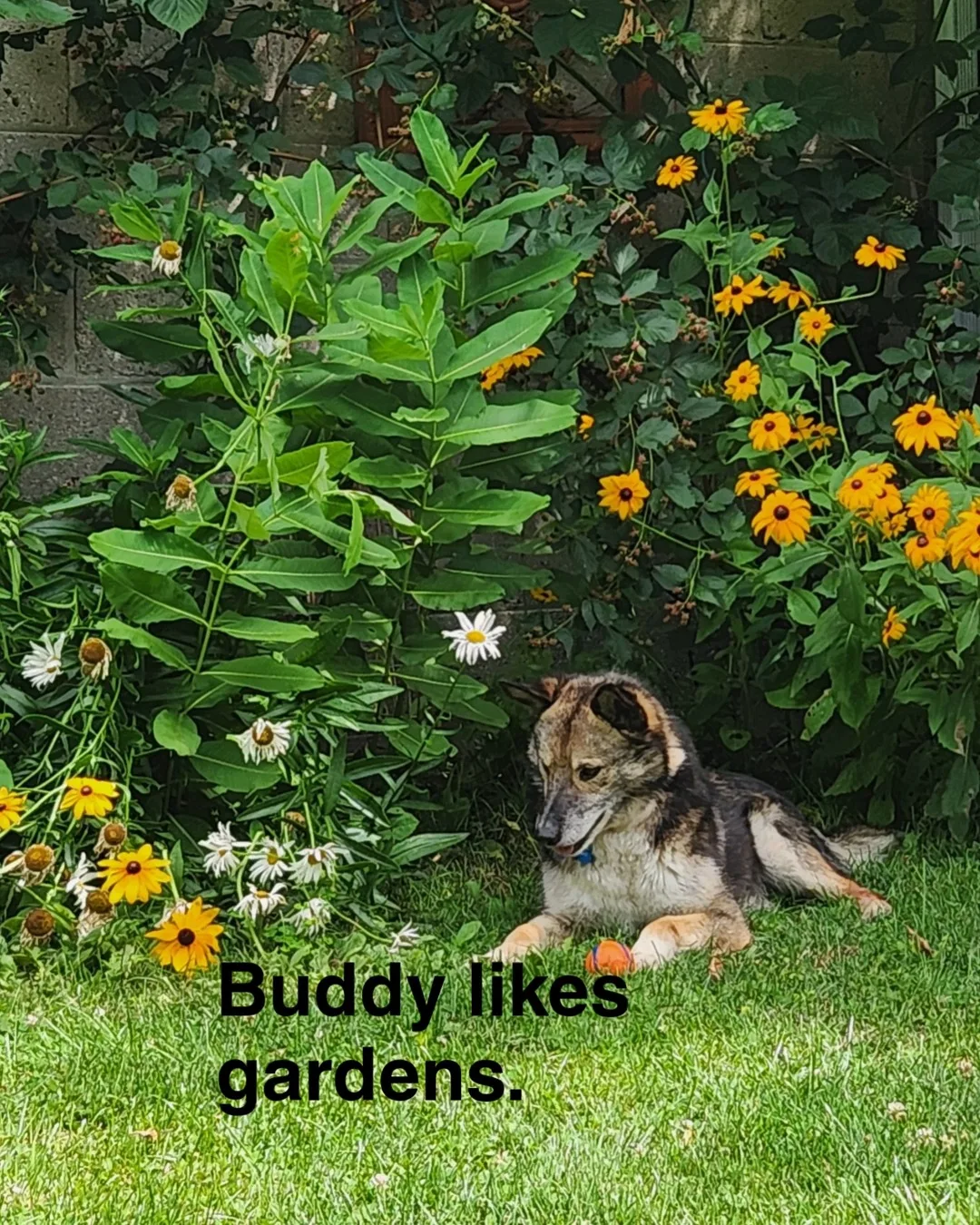 Etobicoke Humane Society in Toronto