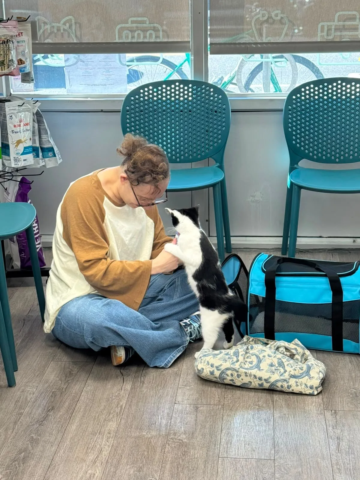Junction Pet Clinic in Toronto