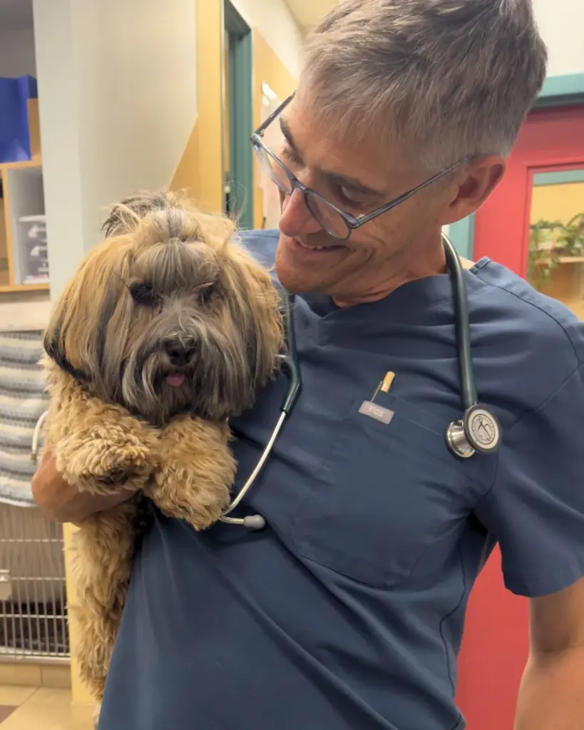 The Animal Clinic in Toronto