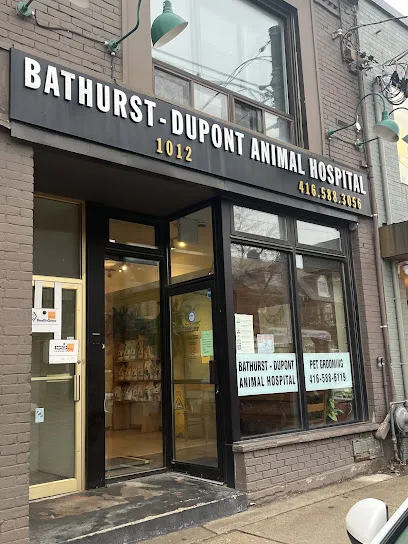 Bathurst-Dupont Animal Hospital in Toronto