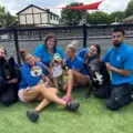 Parker Pet Care in Toronto