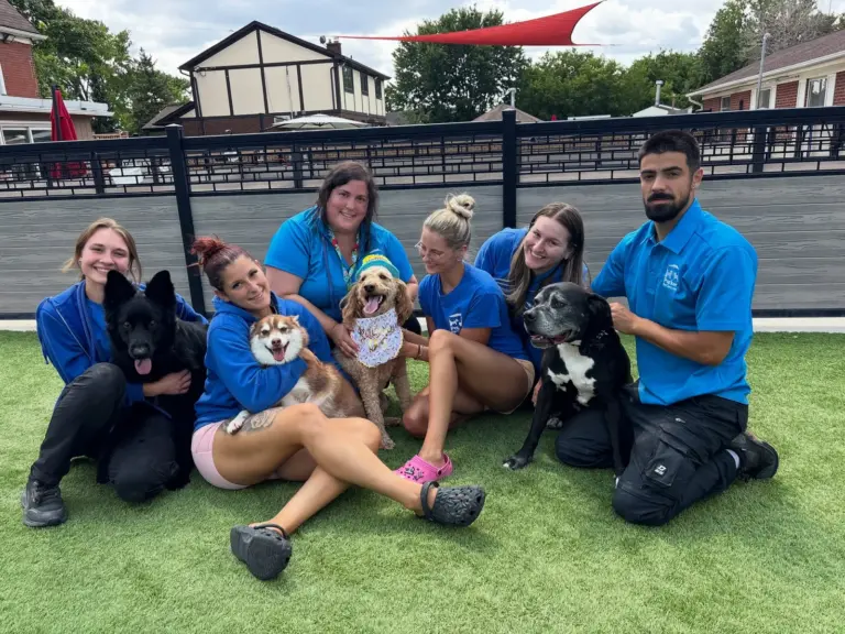 Parker Pet Care in Toronto