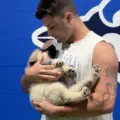 Toronto Humane Society in Toronto