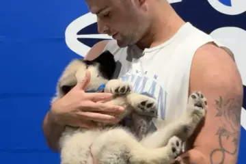 Toronto Humane Society in Toronto
