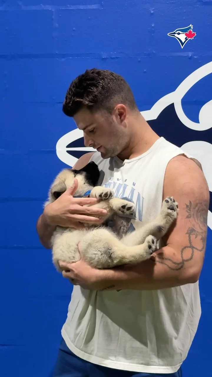 Toronto Humane Society in Toronto