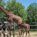 Toronto Zoo in Toronto