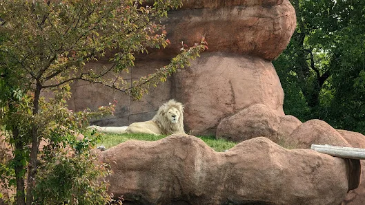 A real scene at Toronto Zoo in Toronto