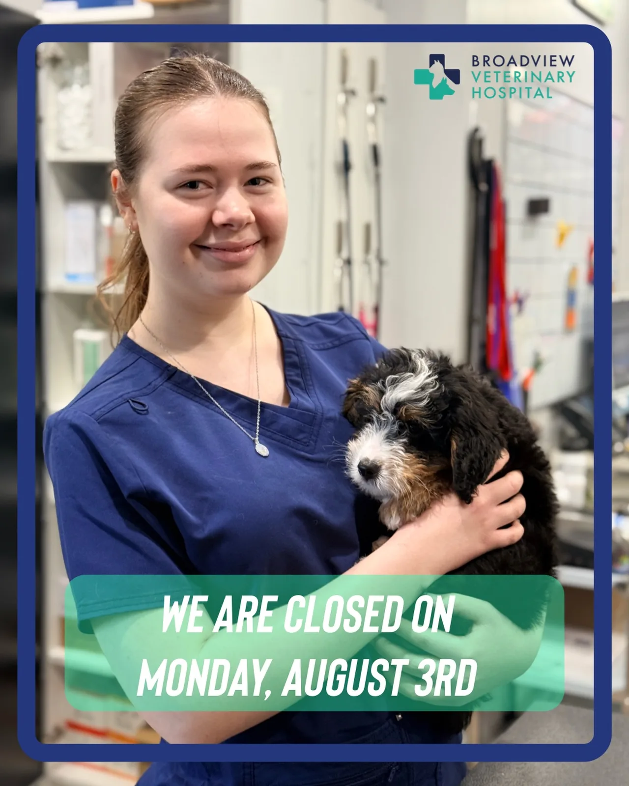 A real scene at Broadview Veterinary Hospital in Toronto