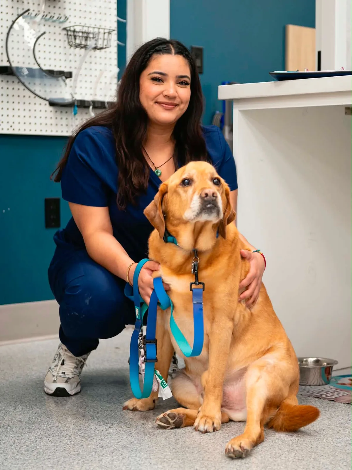 A real scene at Balmy Beach Pet Hospital in Toronto