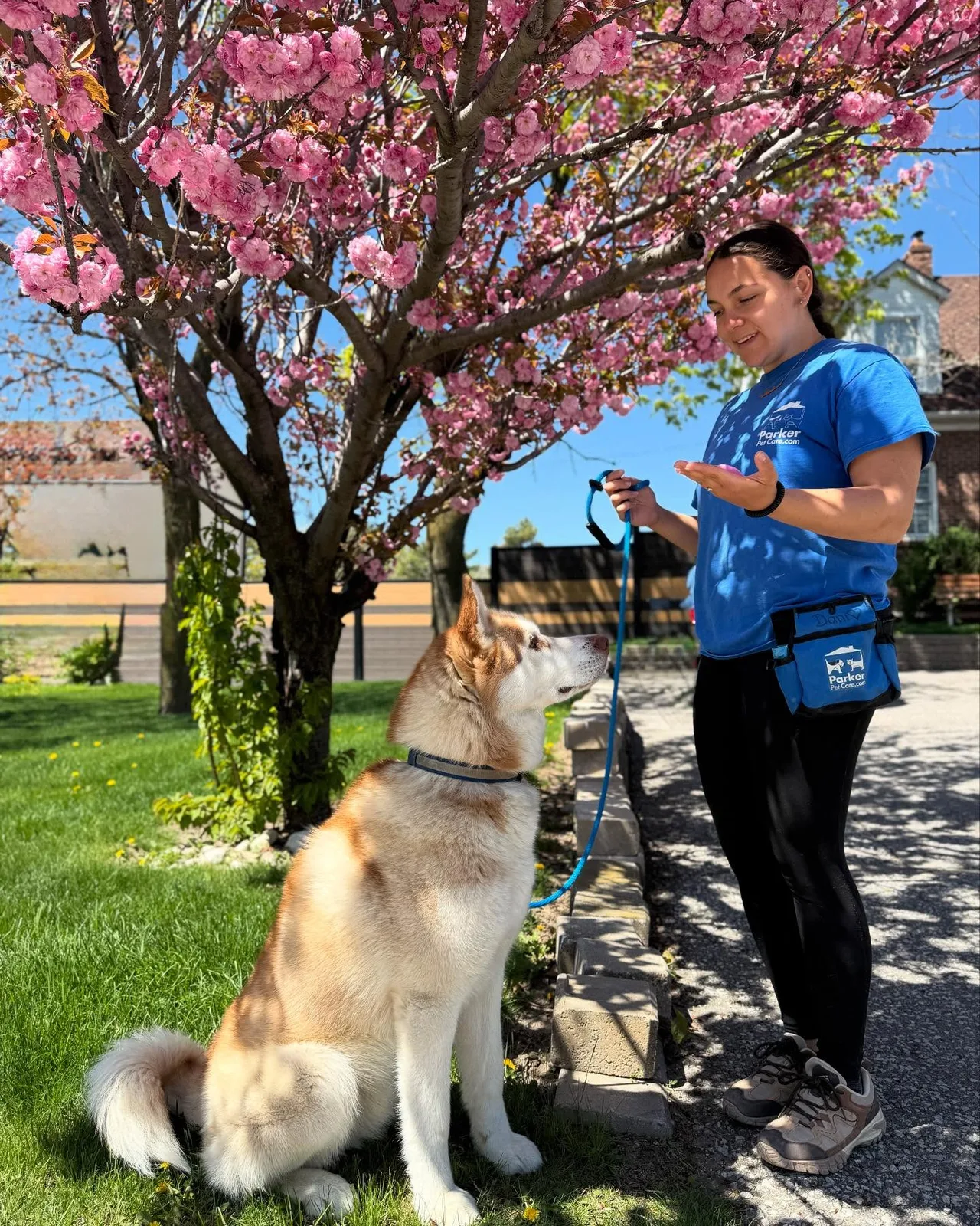 A real scene at Parker Pet Care in Toronto