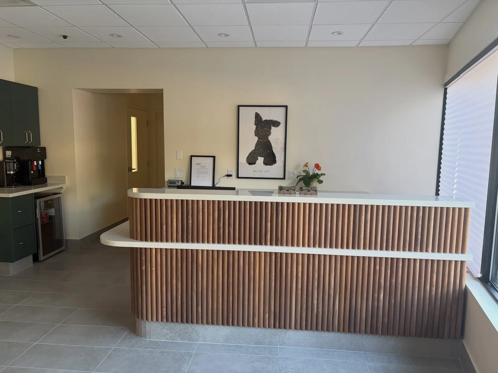 A real scene at Belsize Veterinary Clinic in Toronto