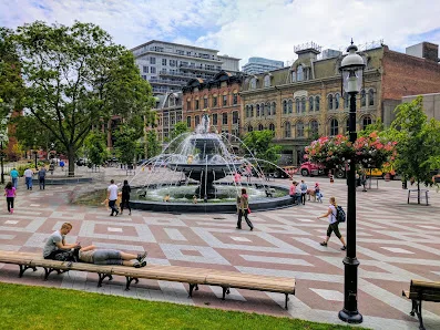A real scene at Berczy Park in Toronto