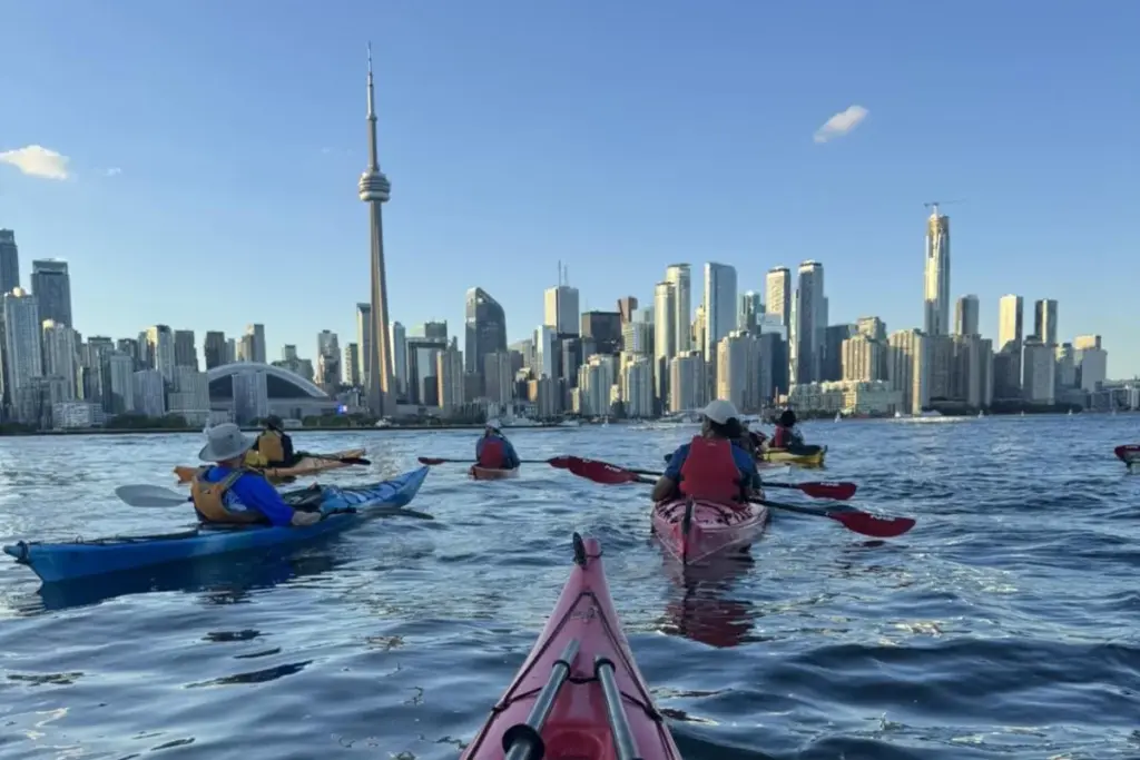 Group kayaking on Toronto Harbour with the CN Tower and skyline ahead