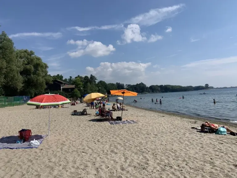 Families swimming and relaxing at Marie Curtis Park East Beach
