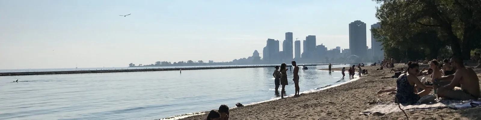 People swimming and relaxing at Sunnyside Beach