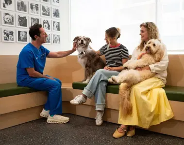 A veterinarian and two women sit with two dogs inside a bright Toronto veterinary clinic