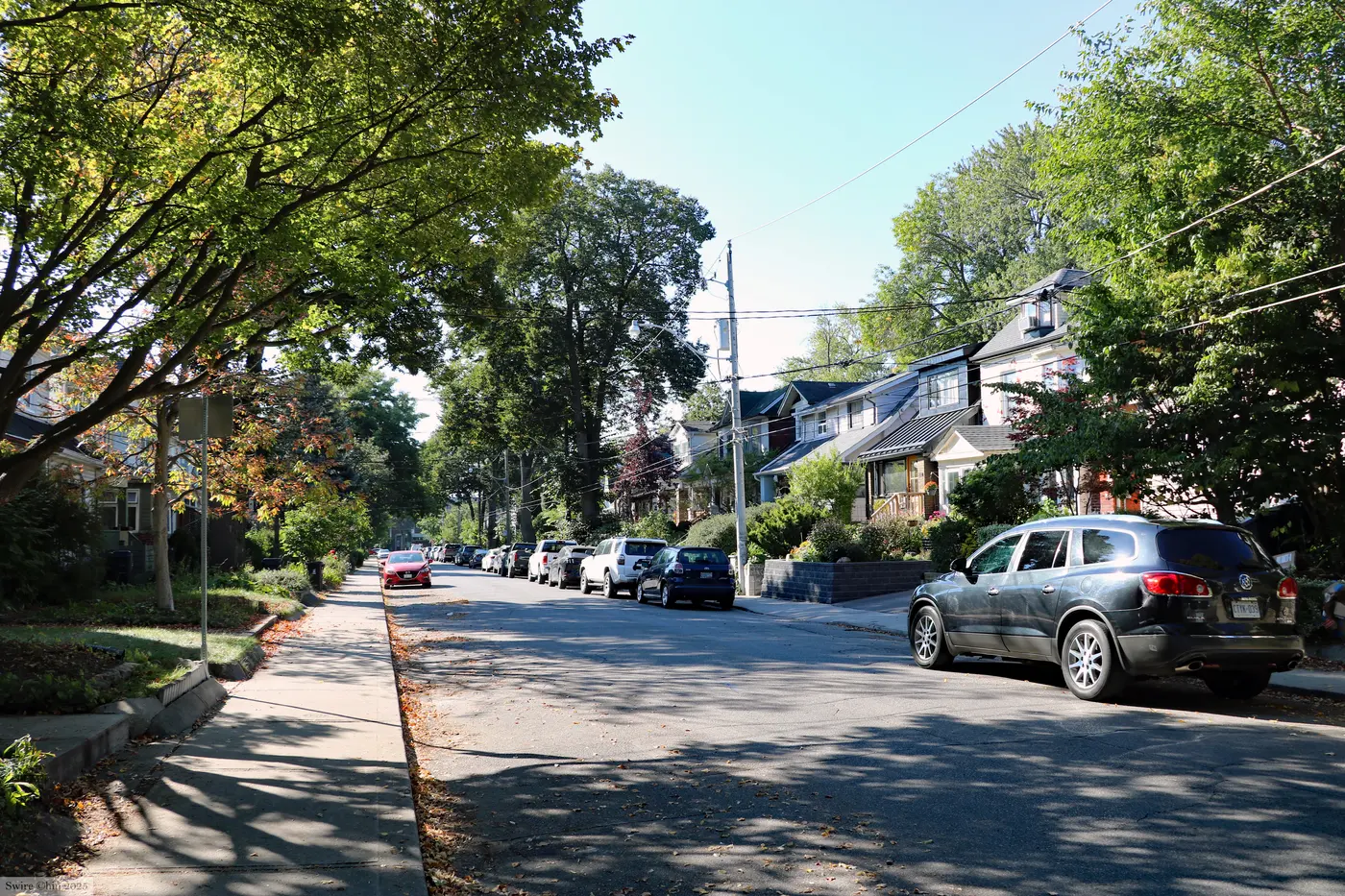 A sunny residential street in East Danforth Toronto