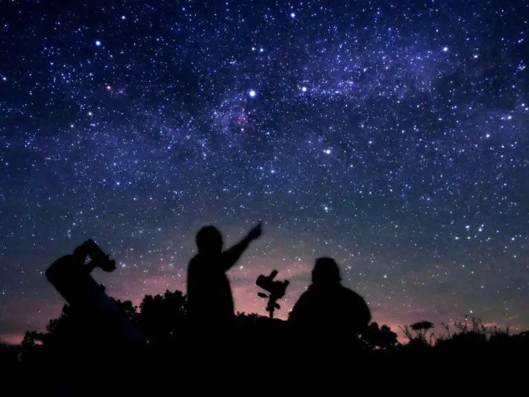 People using telescopes under a star-filled Ontario sky