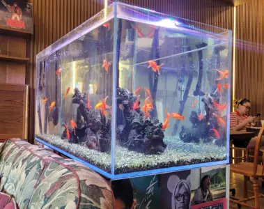 Illuminated aquarium and wood-panelled seating inside Lost in Toronto bar.