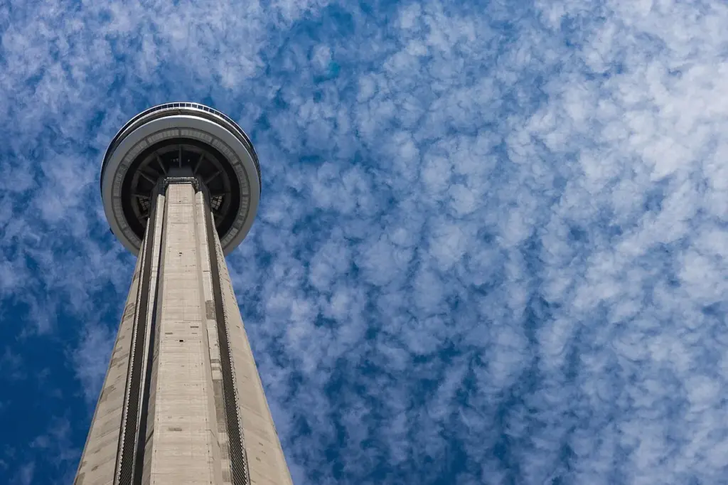 The CN Tower rising above downtown Toronto