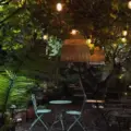 Cafe 23's leafy patio on Queen Street West at night