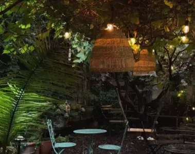 Cafe 23's leafy patio on Queen Street West at night