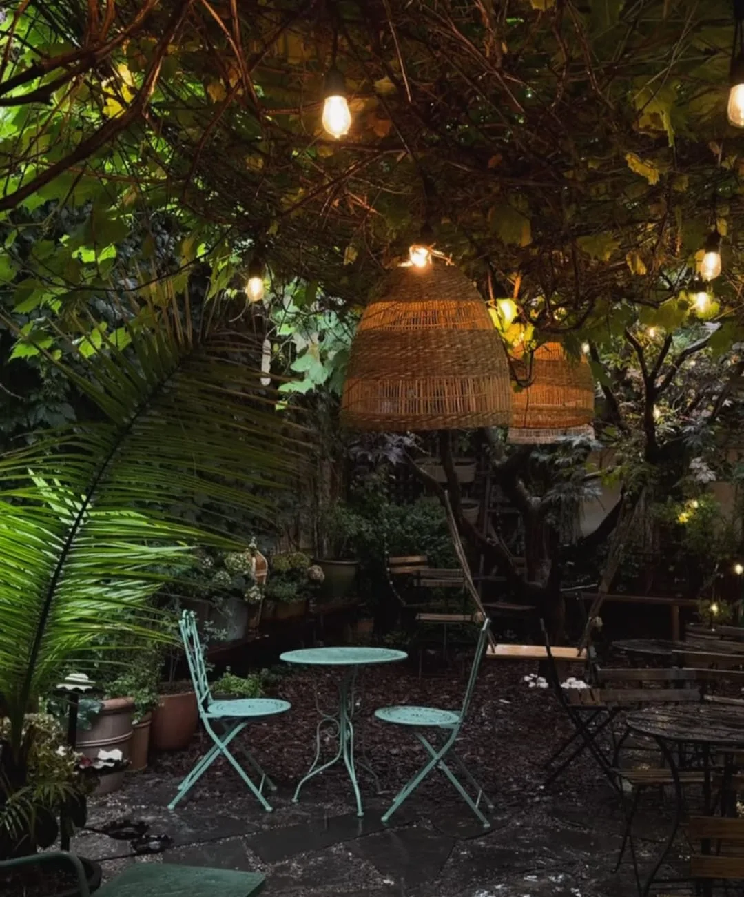 Cafe 23's leafy patio on Queen Street West at night