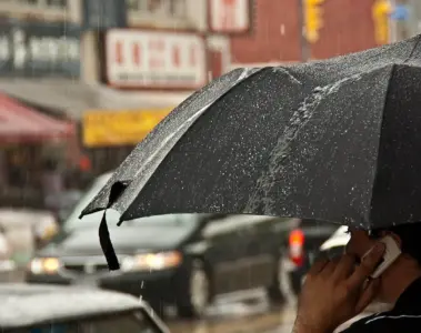 People carrying umbrellas on a rainy street in Toronto's Chinatown
