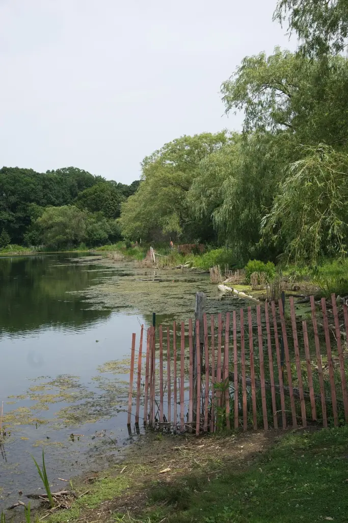 Grenadier Pond in High Park in 2026