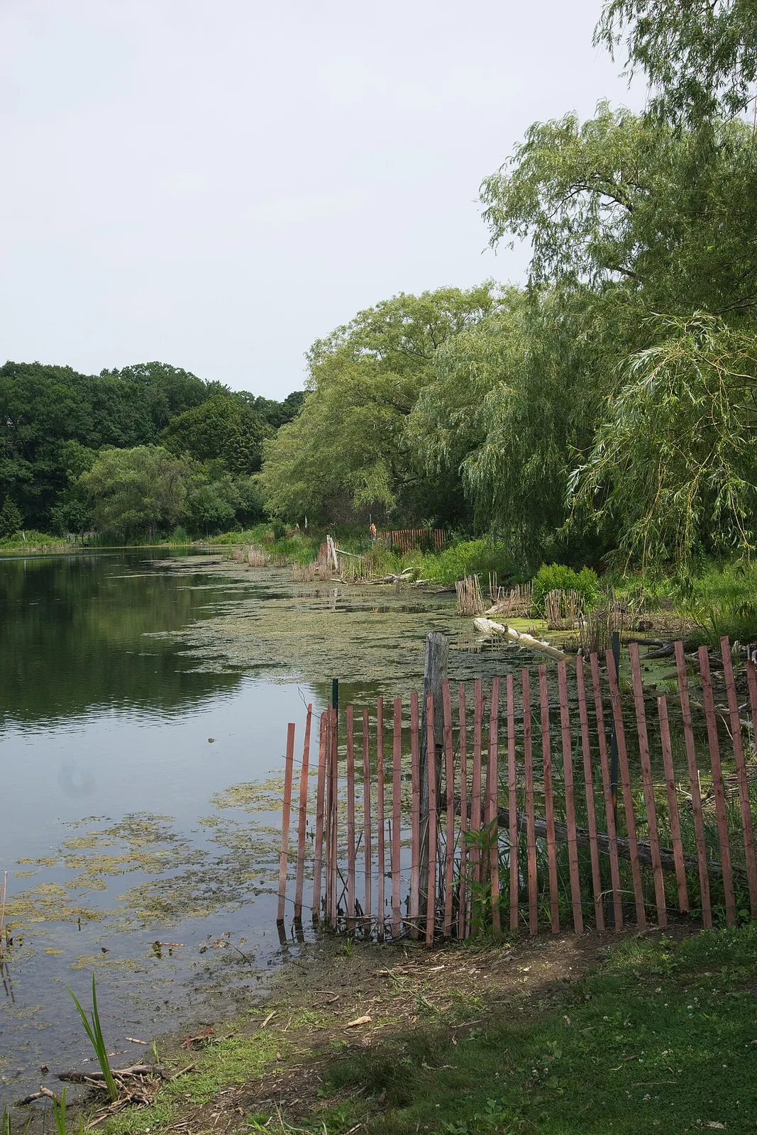 Grenadier Pond in High Park in 2026