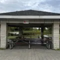 Picnic Site Eight beneath a white-roofed shelter at Centennial Park Etobicoke