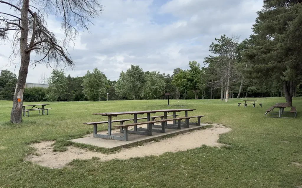 Picnic tables in an open grassy area at G. Ross Lord Park