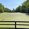 The middle pond and wooded banks at Rennie Park