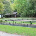 Picnic tables and a small shelter among trees at Sherwood Park