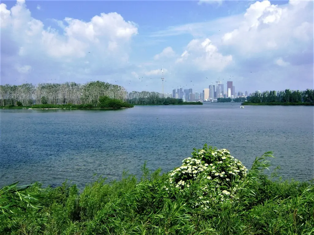 Trail and natural landscape at Tommy Thompson Park in Toronto