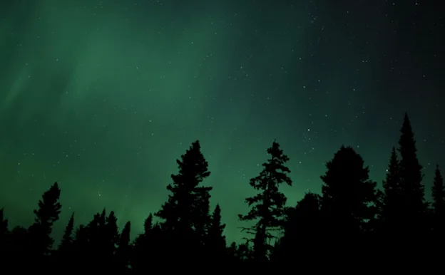 Green aurora and stars over Ontario park trees at night