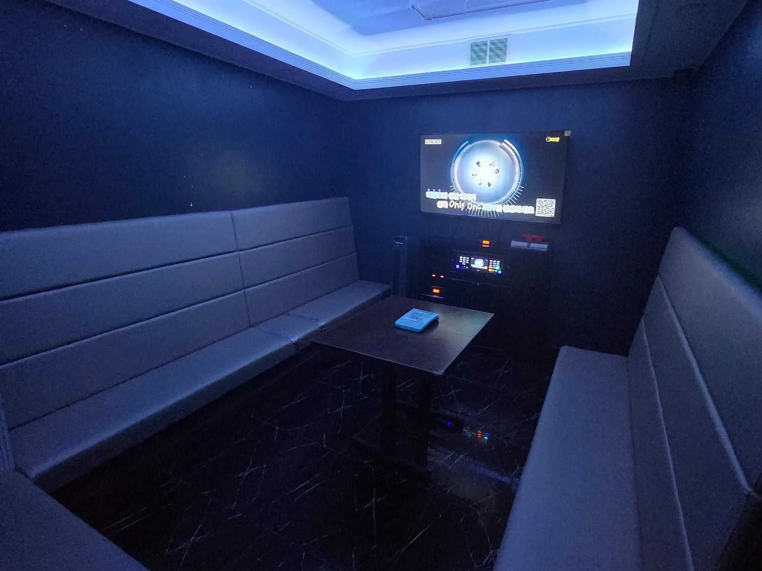 A private karaoke room with wraparound seating and a song screen