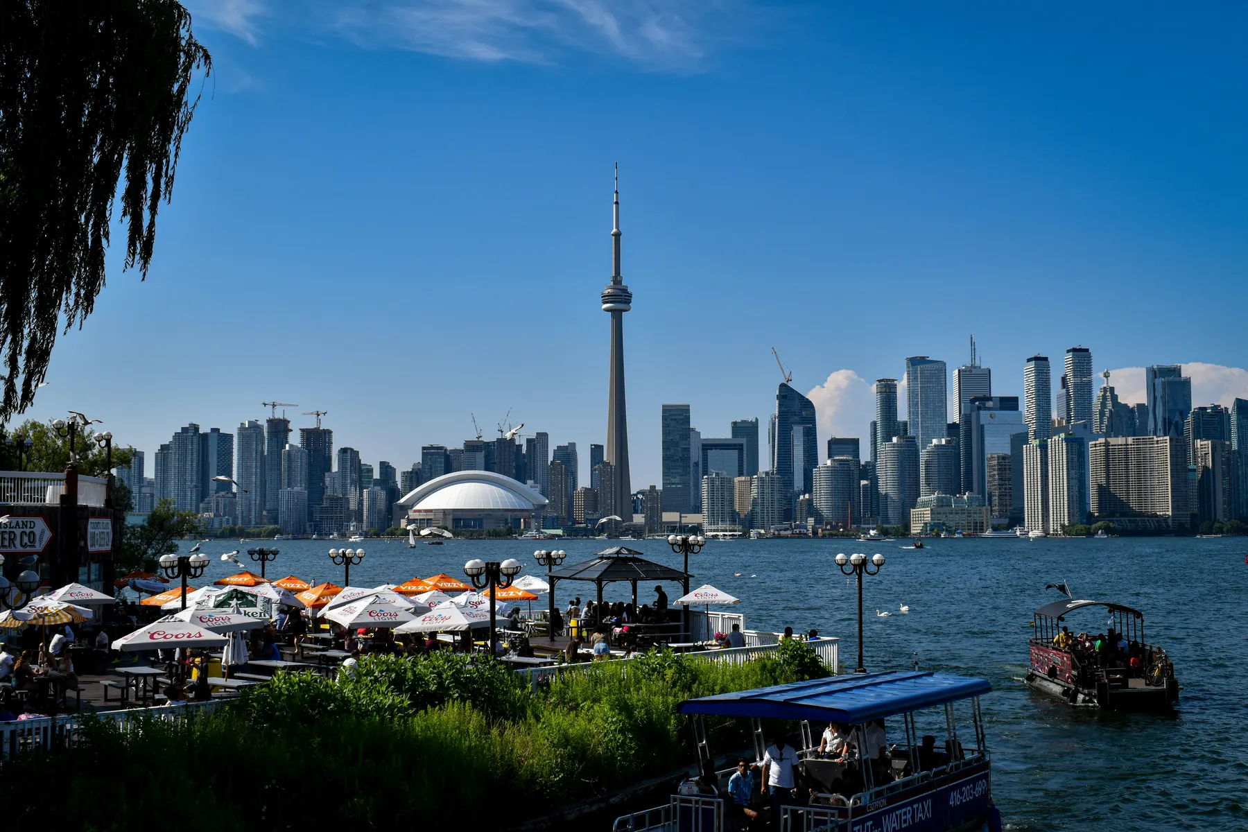 Toronto skyline viewed across the water from the Toronto Islands