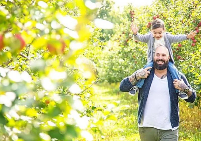 A child on an adult’s shoulders reaching toward apples