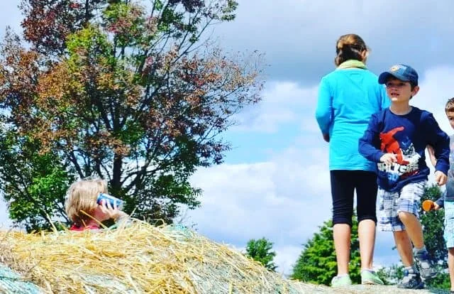Children standing on hay bales at Applewood Farm