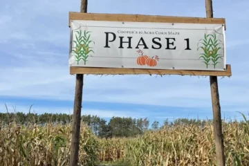 A Phase 1 sign at the entrance to Cooper’s corn maze
