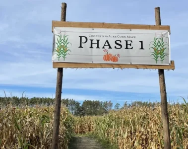 A Phase 1 sign at the entrance to Cooper’s corn maze