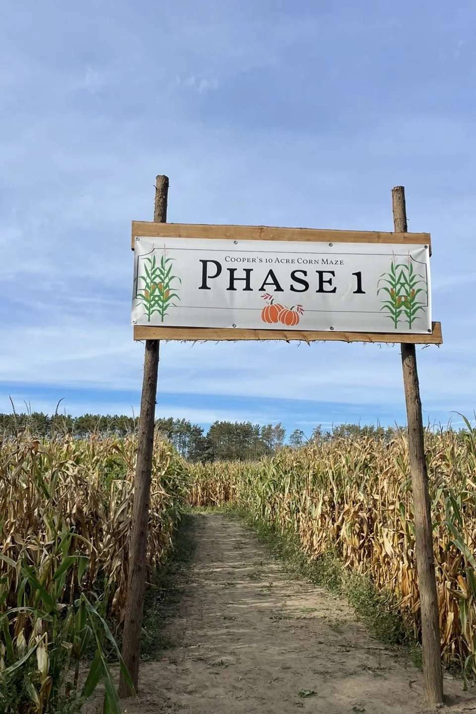 A Phase 1 sign at the entrance to Cooper’s corn maze
