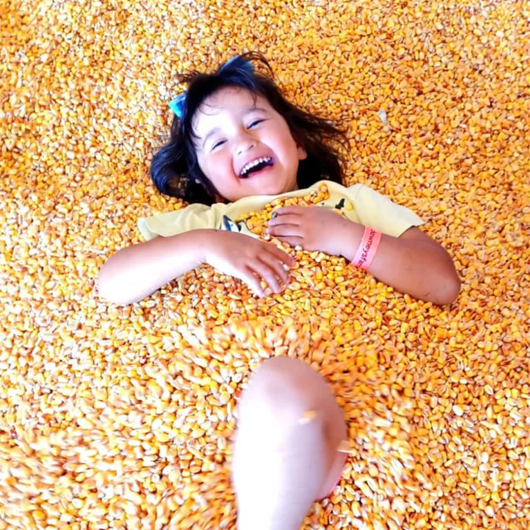 A child playing in the corn crib at Downey’s Farm