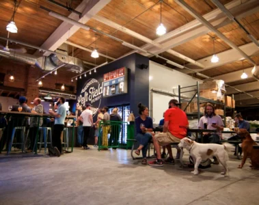 People and dogs in the original Left Field Brewery taproom in Leslieville