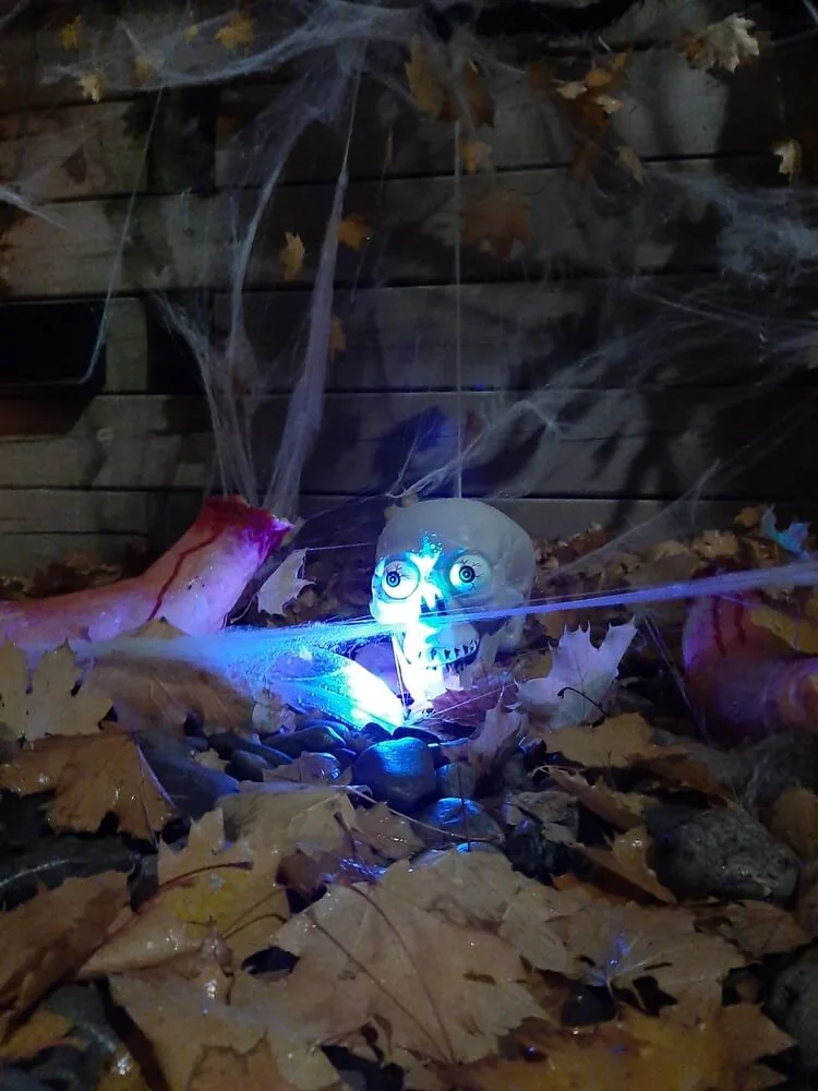 A small illuminated skull among autumn leaves