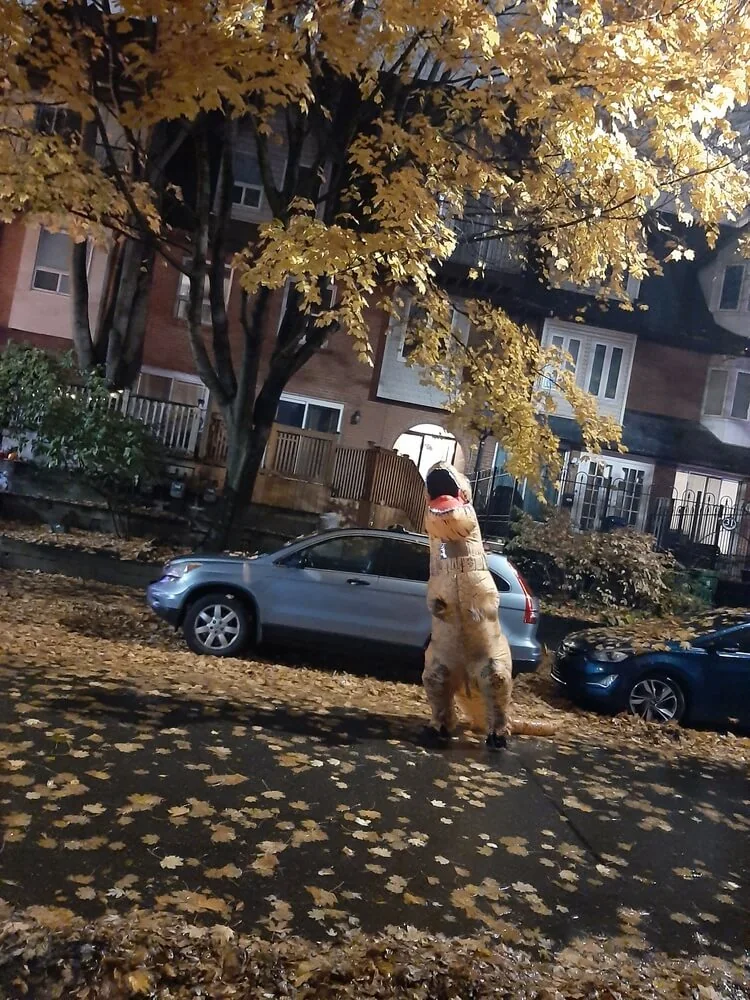 A person in a dinosaur costume on Longboat Avenue